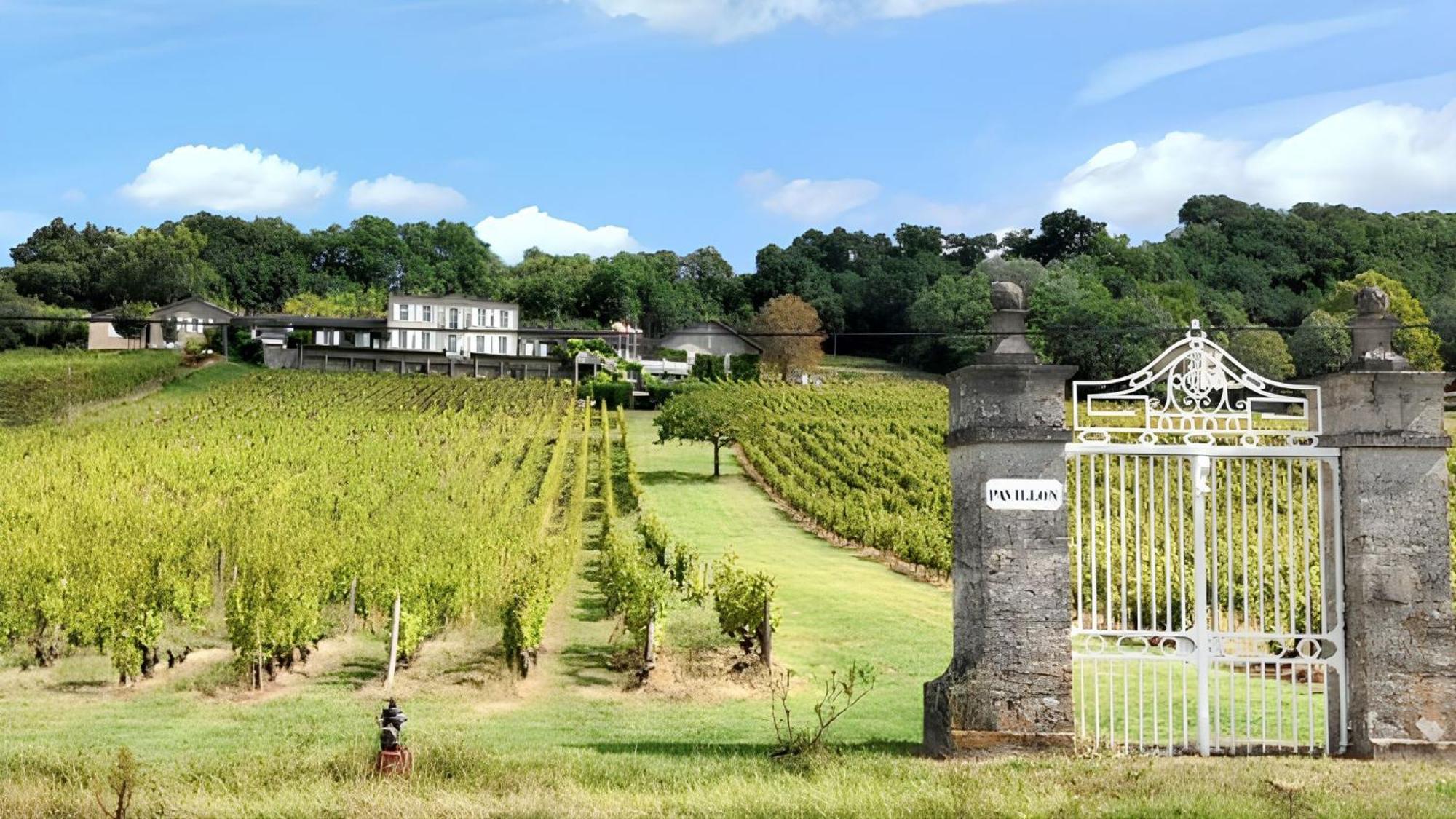 Maison Charmante Au Coeur De Sainte-Croix-Du-Mont Avec Jardin Villa Exteriör bild